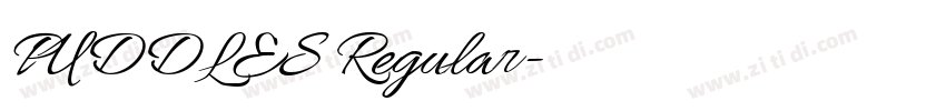 PUDDLES Regular字体转换 PUDDLES Regular字体转换